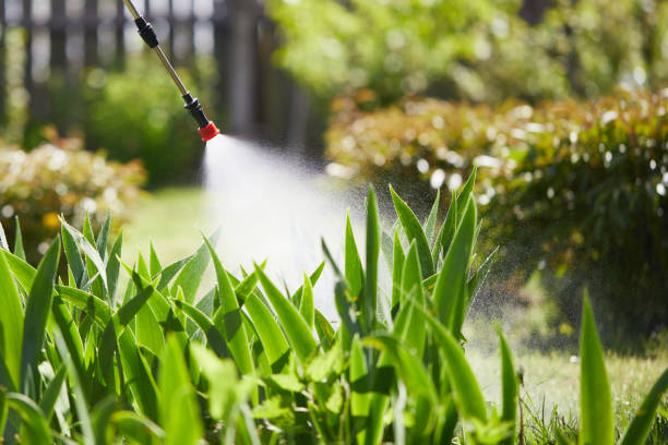 24/7 Emergency Ant Control experts in Jacksonville, AR
